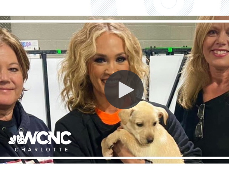 Carrie Underwood adopts dog during her concert stop in Charlotte