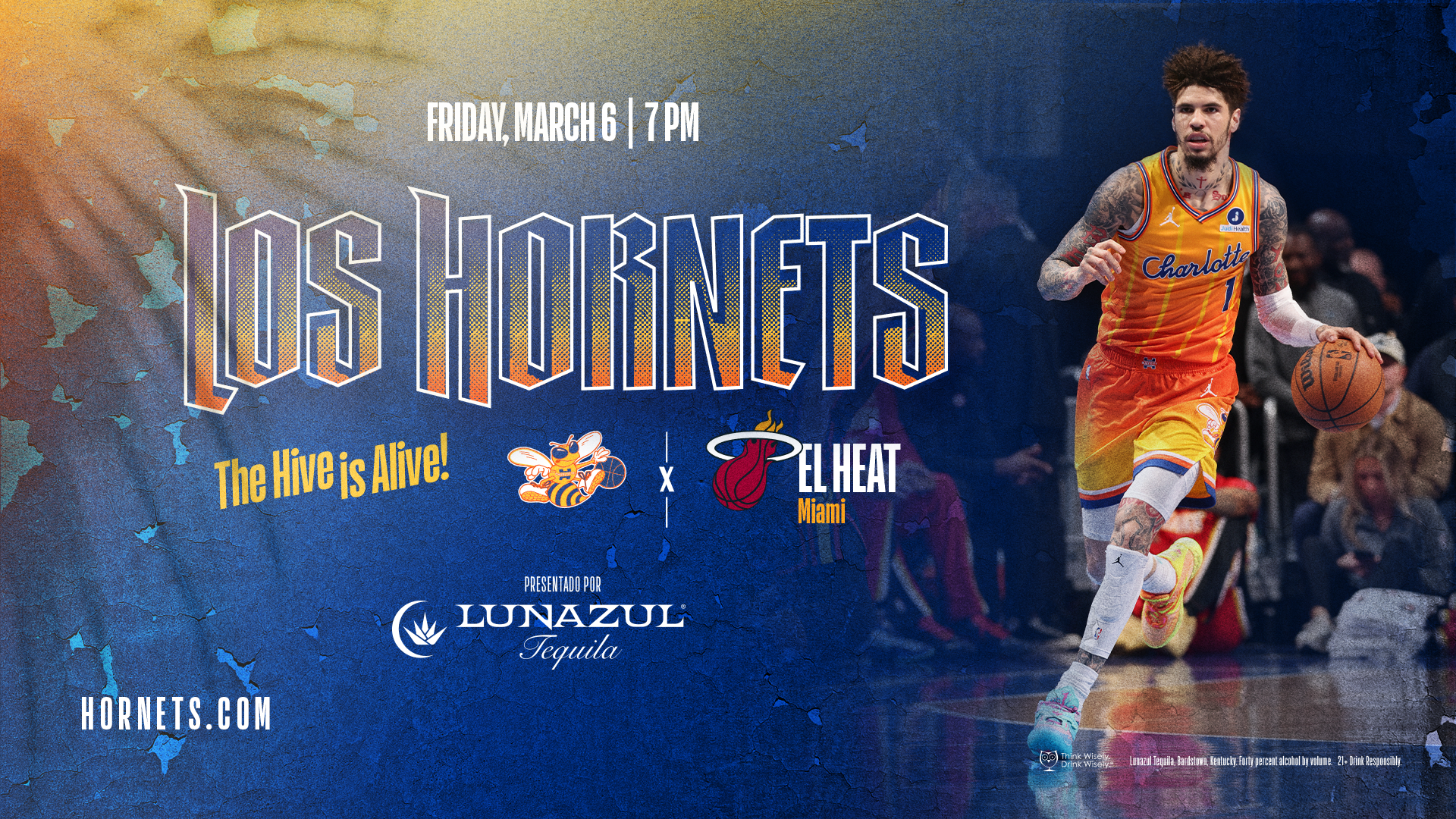 Charlotte Hornets vs Miami Heat